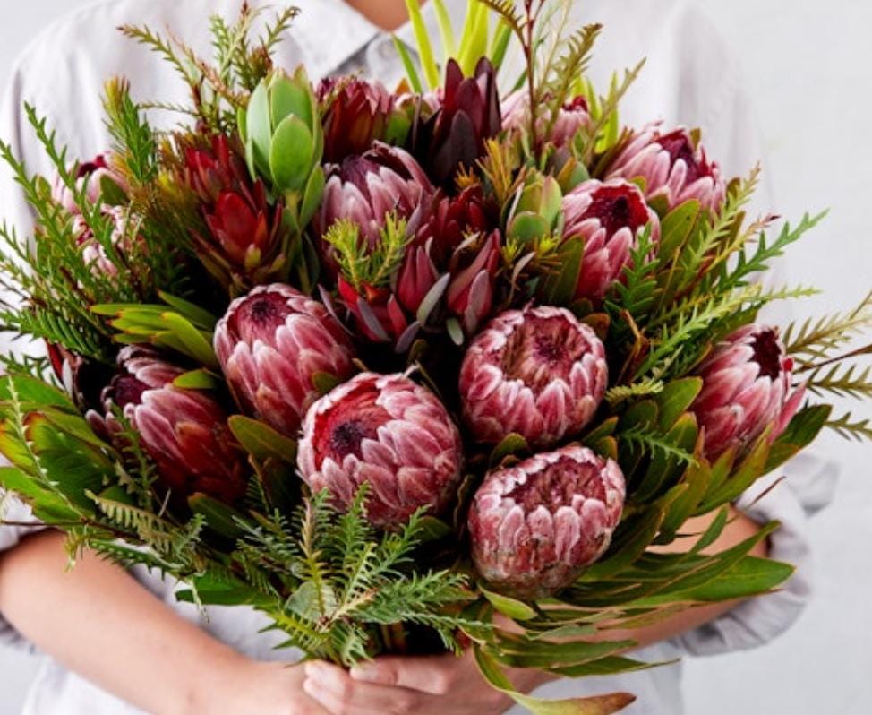 Protea bouquet