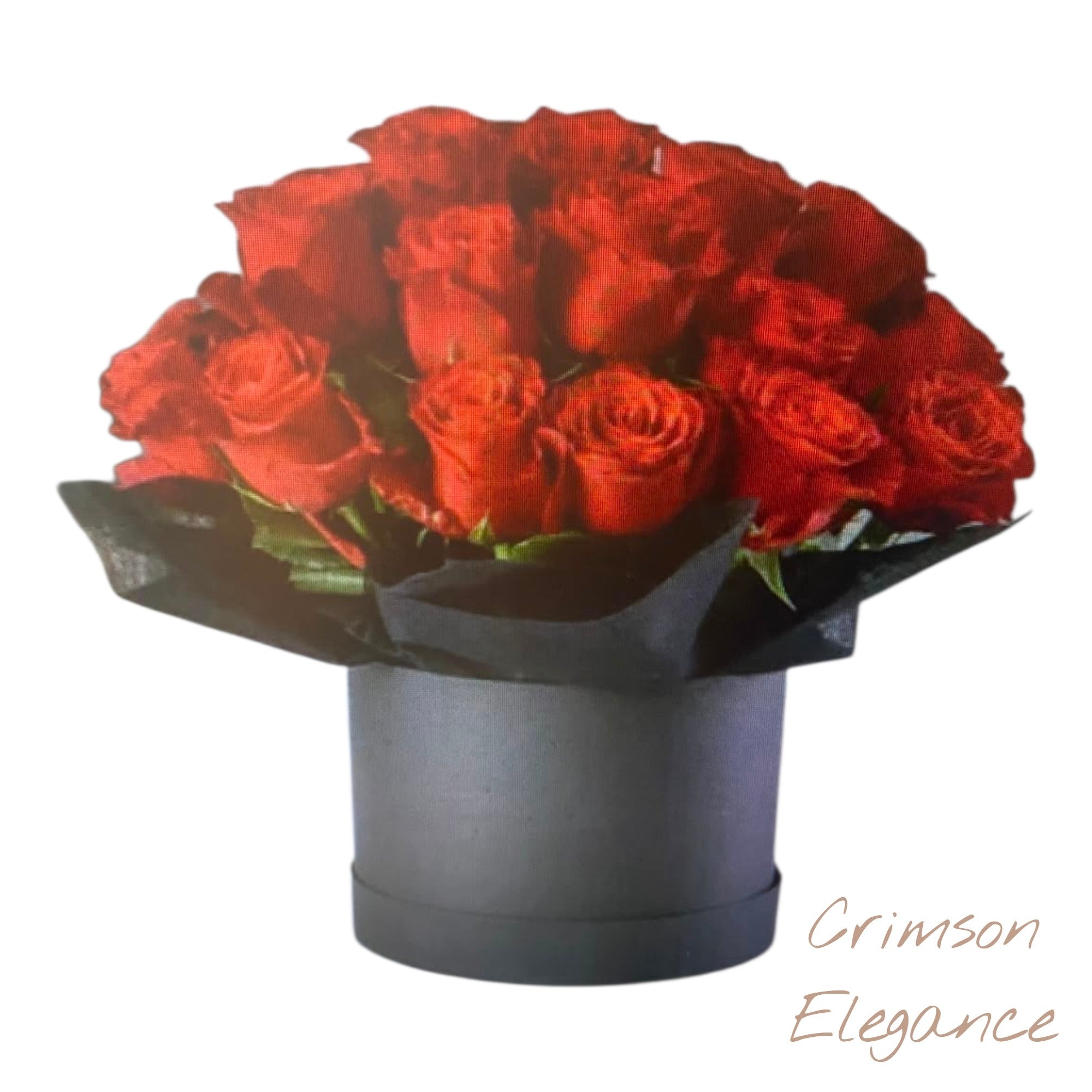 Crimson Elegance